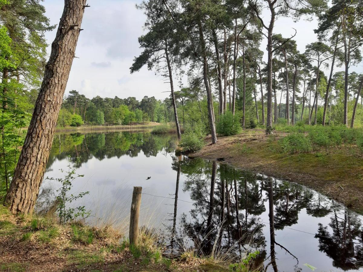 Chalet Blauwborst Oisterwijk Εξωτερικό φωτογραφία